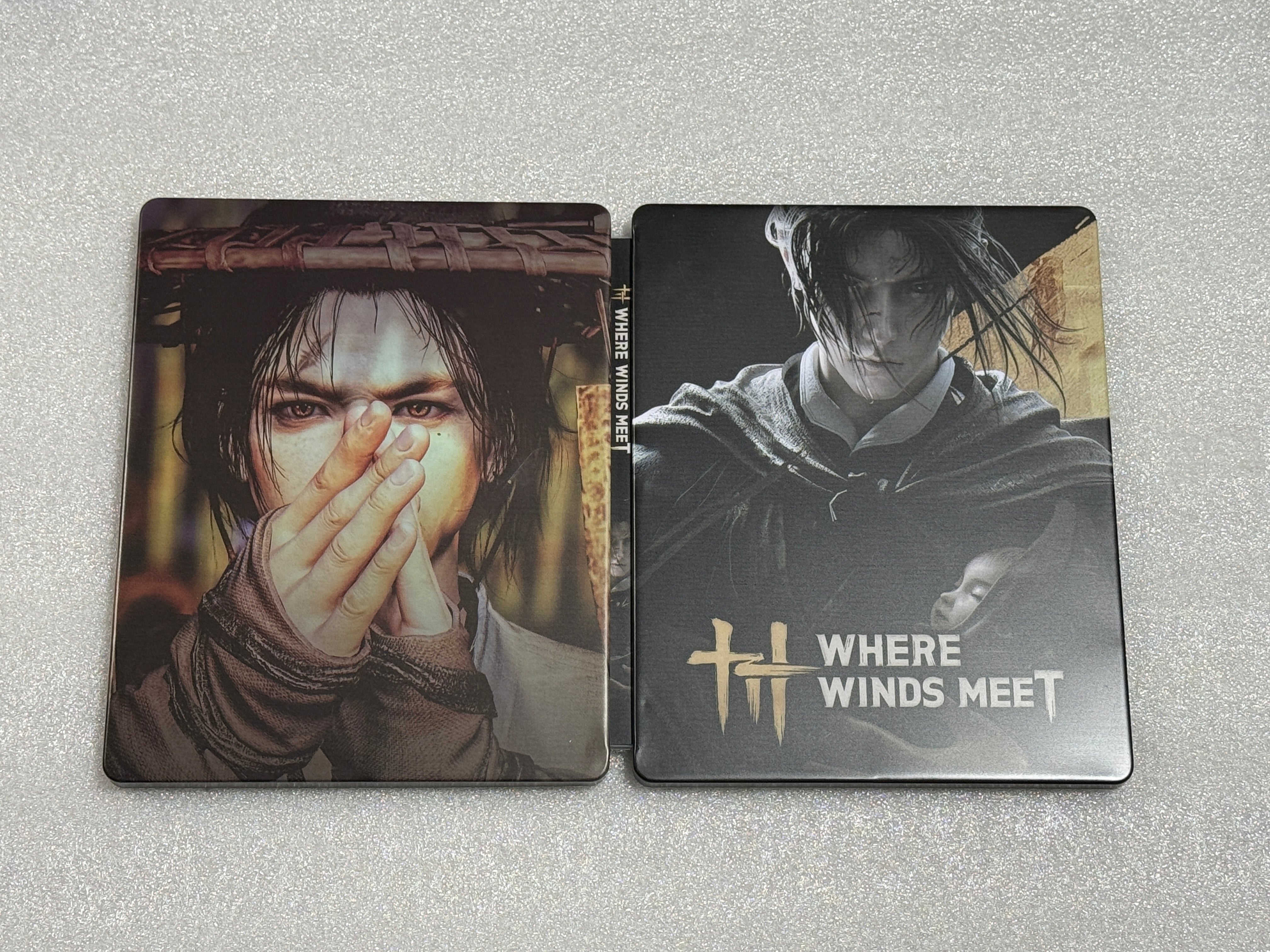 Where Winds Meet SteelUp Replacement Case For Sony PlayStation 5, Xbox, PC